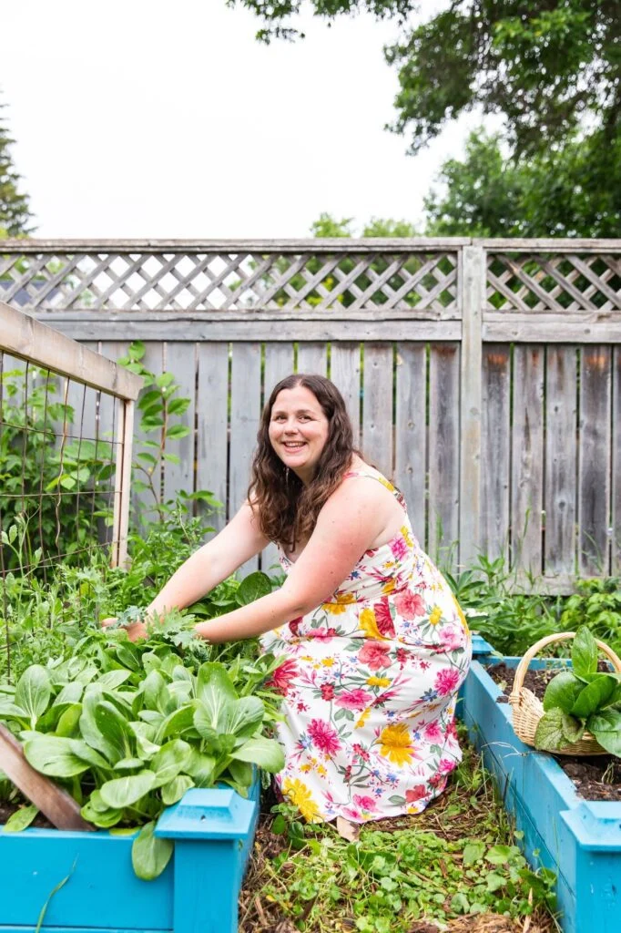 5-minute-garden-international-users