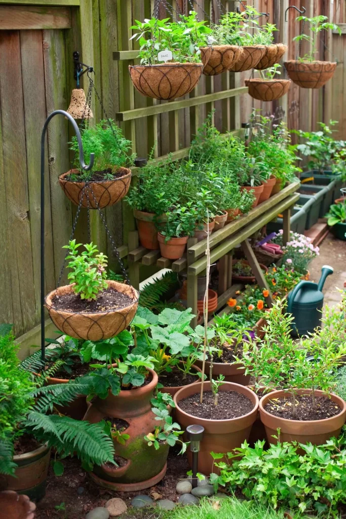key-benefits-of-5-minute-garden