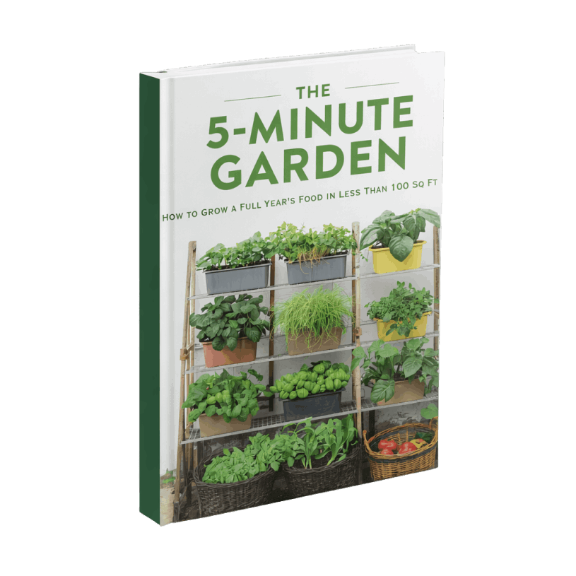 About-us-Why-this-the-5-minute-Garden?